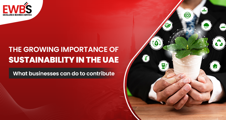 The growing importance of sustainability in the UAE: What businesses can do to contribute